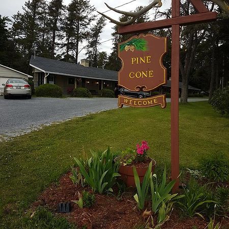 Pinecone Motel Сассекс Экстерьер фото