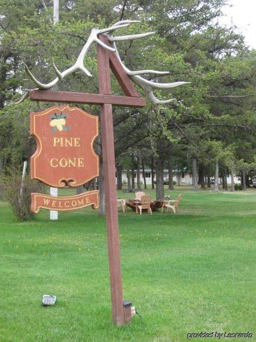 Pinecone Motel Сассекс Экстерьер фото