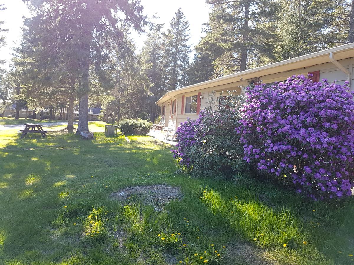 Pinecone Motel Сассекс Экстерьер фото