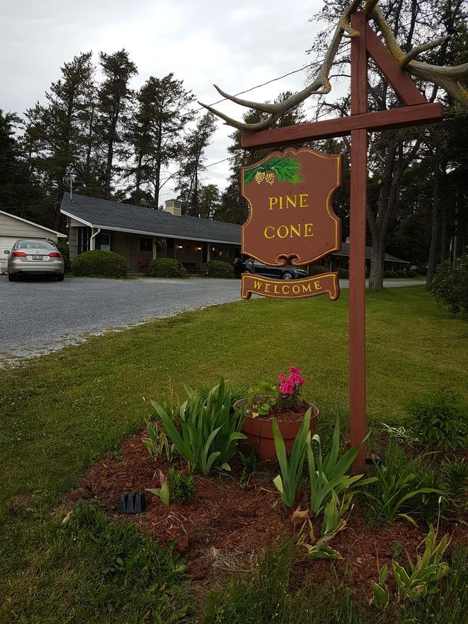 Pinecone Motel Сассекс Экстерьер фото