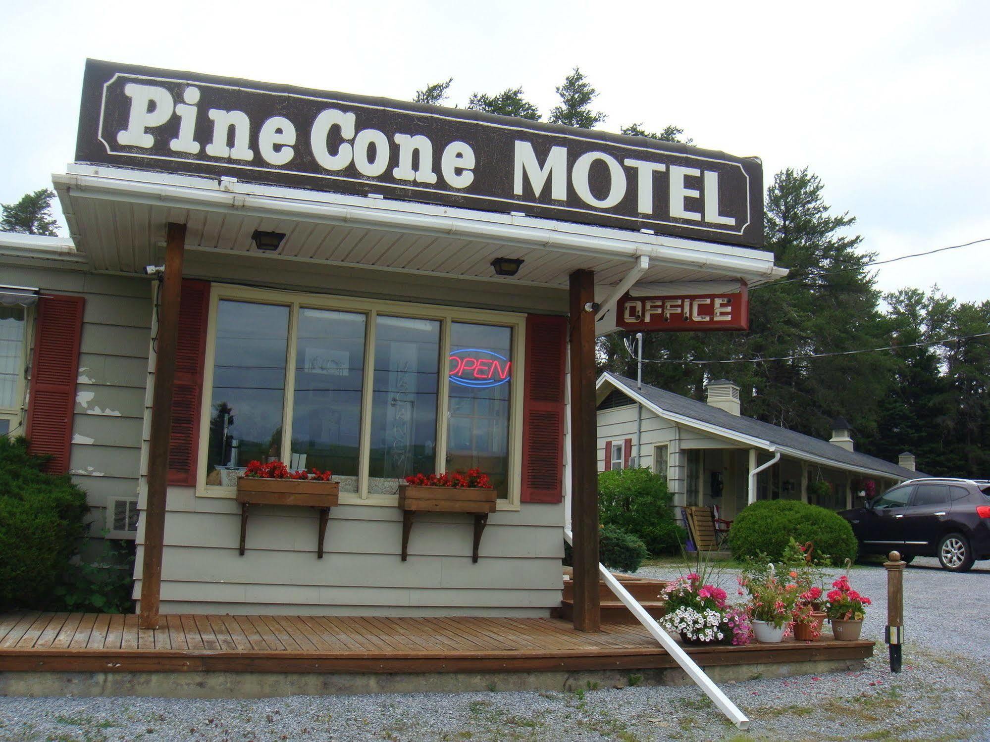 Pinecone Motel Сассекс Экстерьер фото