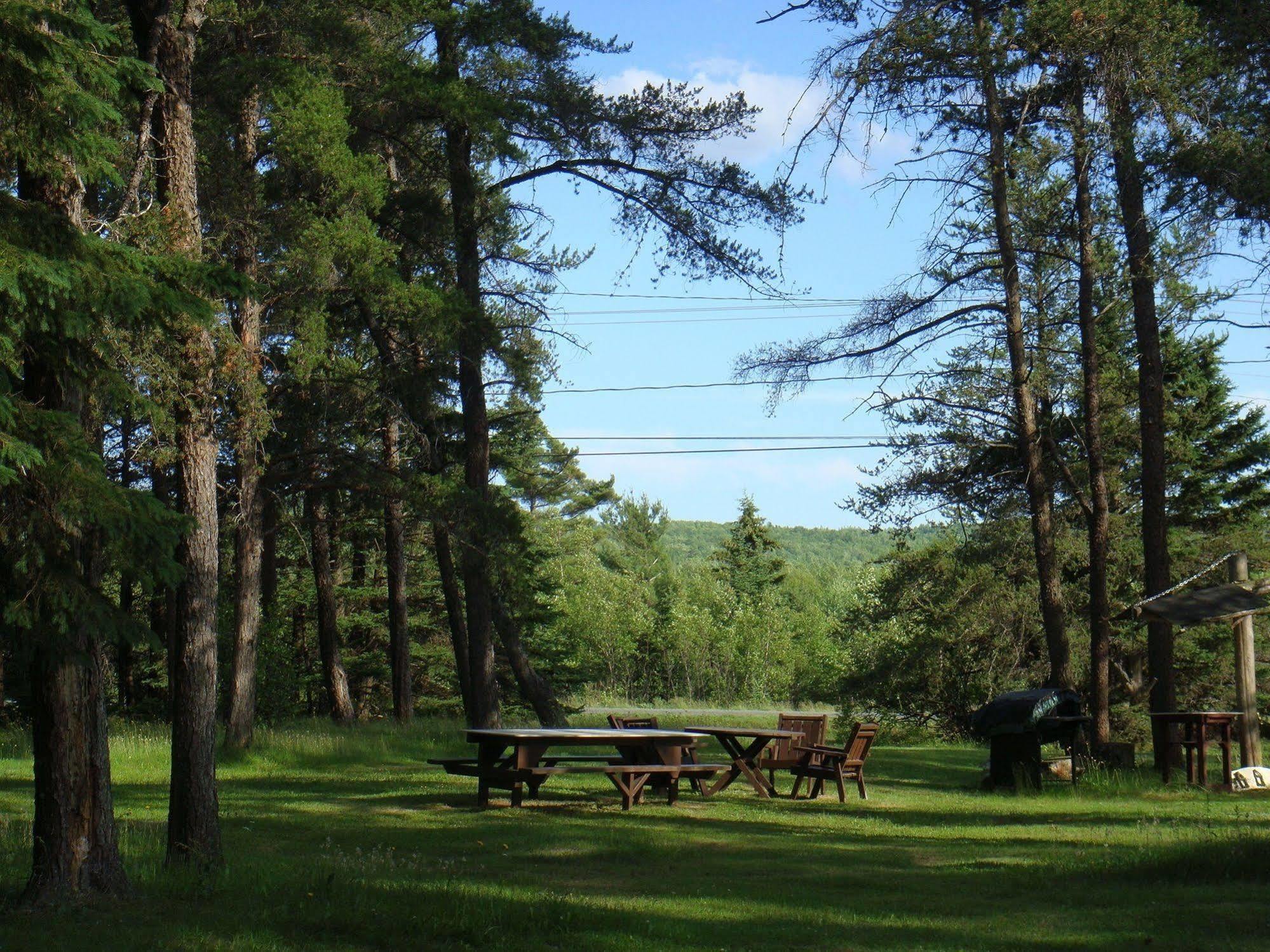 Pinecone Motel Сассекс Экстерьер фото