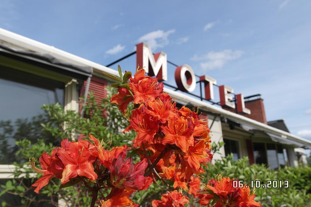 Pinecone Motel Сассекс Экстерьер фото